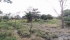 WhatsApp Image 2023-04-19 at 5.49.20 PM.jpg